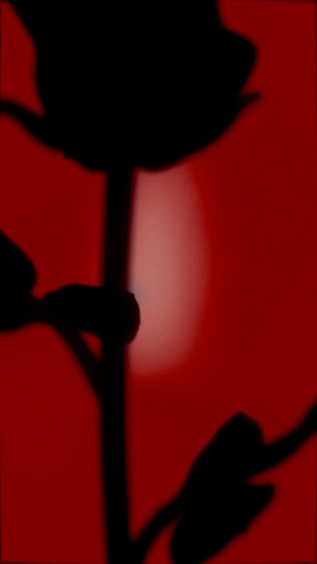 Let Me Disappear (Inside), still 2