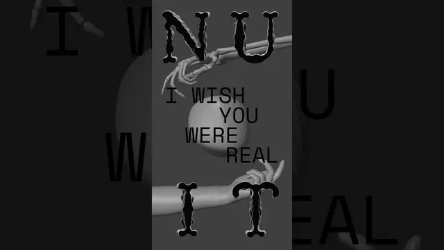 N U I T, I Wish You Were Real, elevator short